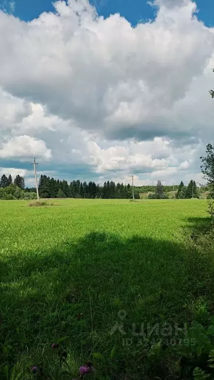 Участок в Пермский край, Пермский муниципальный округ, д. Буланки ... - Фото 1