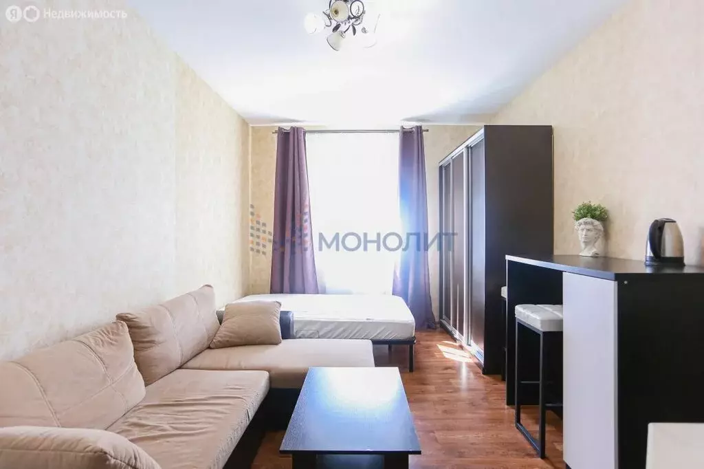 Квартира-студия: деревня Афонино, улица Красная Поляна, 6 (23.9 м) - Фото 2
