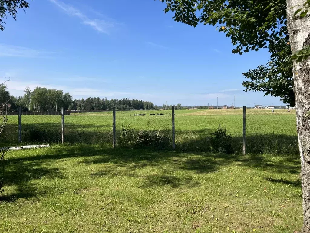 Участок в Московская область, Истра муниципальный округ, д. Аносино ... - Фото 2