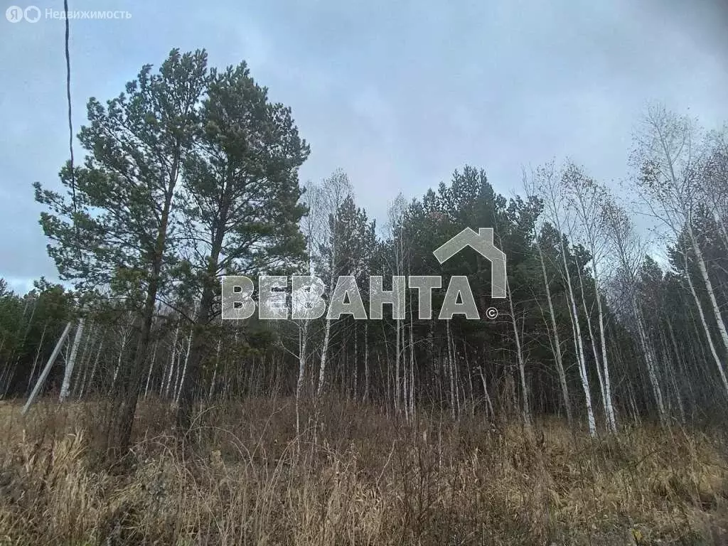 Участок в Нижнетавдинский район, садоводческое некоммерческое ... - Фото 0