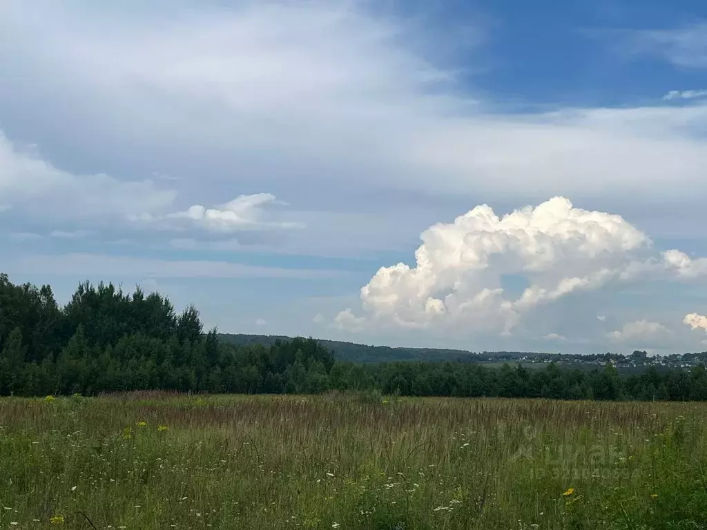 Участок в Тульская область, Ясногорский район, Иваньковское с/пос, с. ... - Фото 2