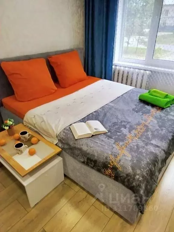 3-к кв. Псковская область, Псков Завеличье исторический район, ул. ... - Фото 1