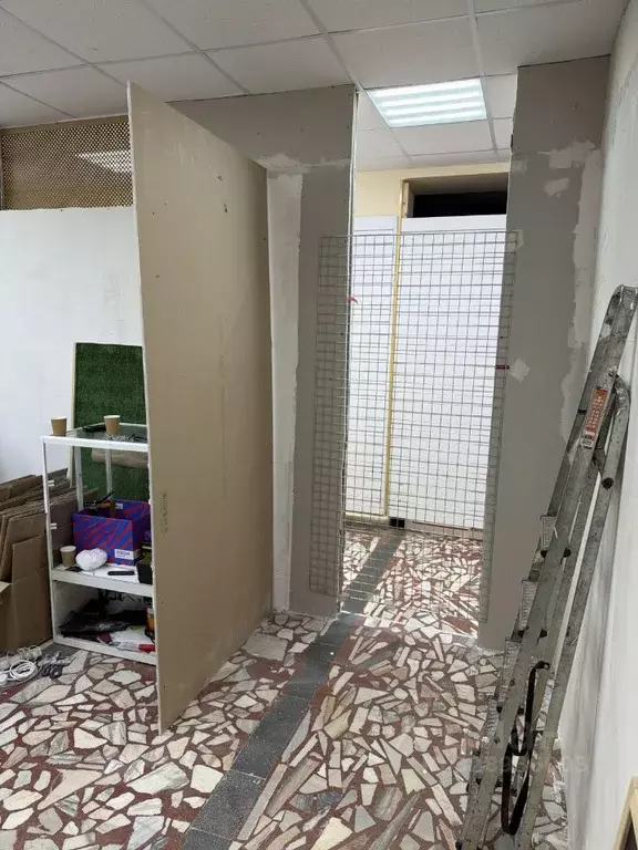 Помещение свободного назначения в Чувашия, Чебоксары ул. Чапаева, 16 ... - Фото 1