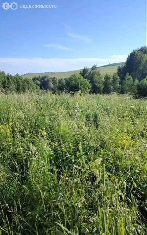 Участок в Горно-Алтайск, улица Осипенко (100 м) - Фото 1