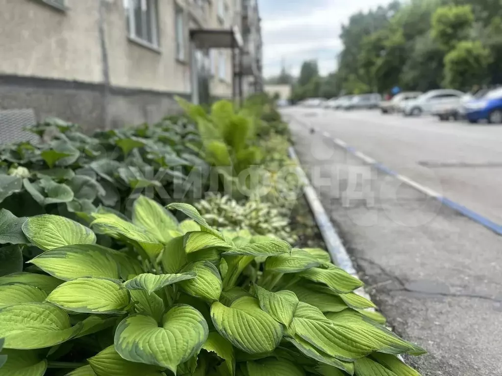 2-к. квартира, 43 м, 3/5 эт. - Фото 0
