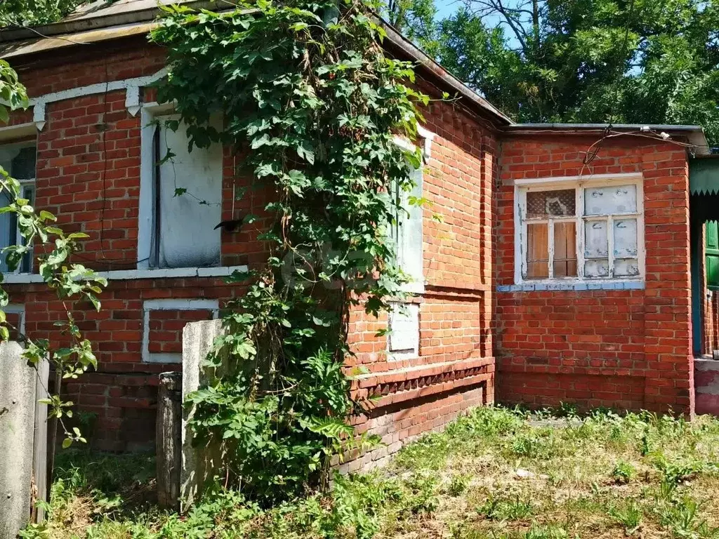 Дом в Белгородская область, Борисовский муниципальный округ, с. ... - Фото 1