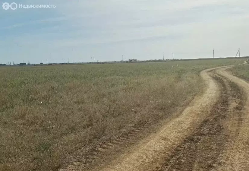 Участок в Сакский район, Молочненское сельское поселение, село Витино ... - Фото 0