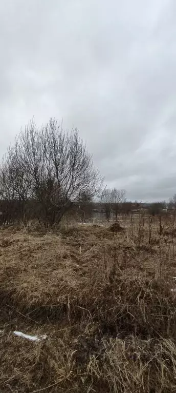 Участок в Московская область, Дмитровский муниципальный округ, ... - Фото 1