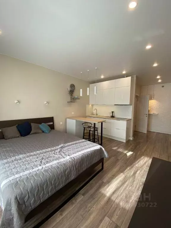 1-к кв. Иркутская область, Иркутск Сибирская ул., 24 (30.0 м) - Фото 0