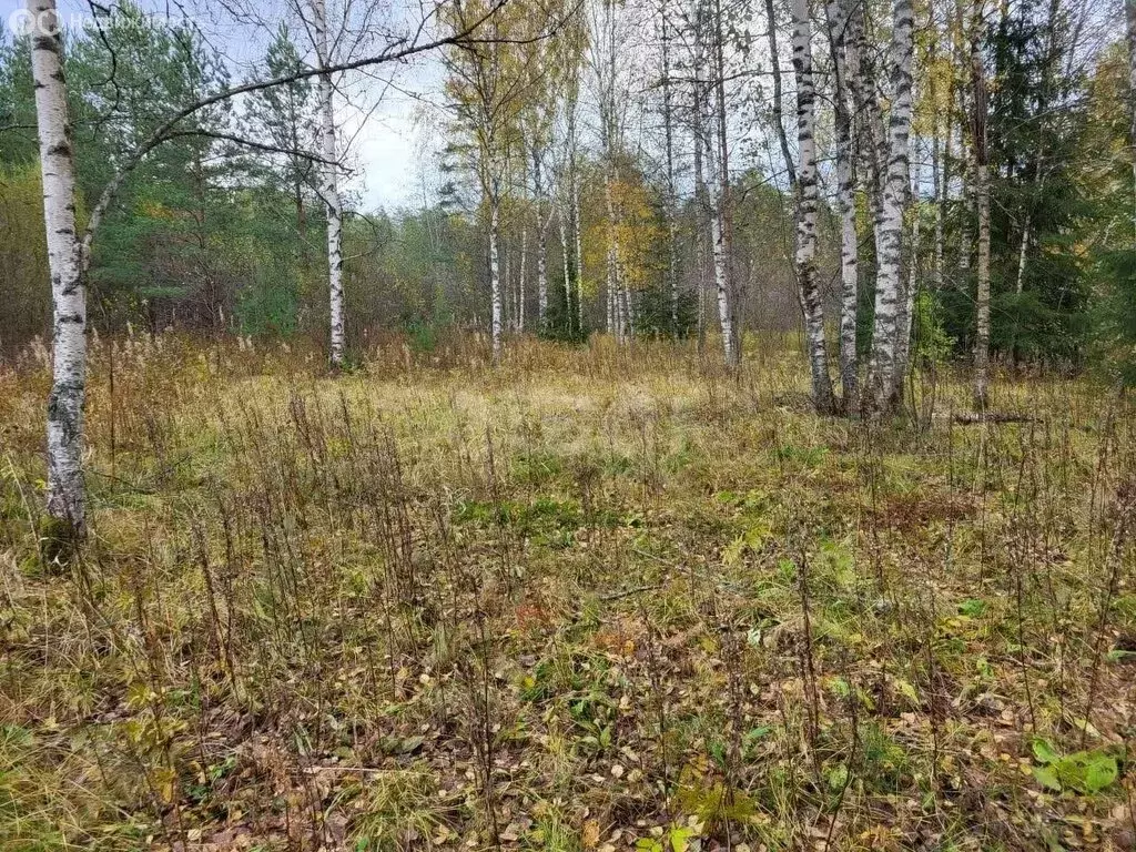 Участок в Ленинское, коттеджный посёлок Ветви.Репино (12 м) - Фото 2