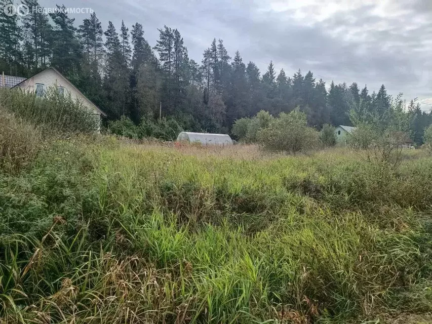 Участок в Приозерский район, Раздольевское сельское поселение, деревня ... - Фото 1