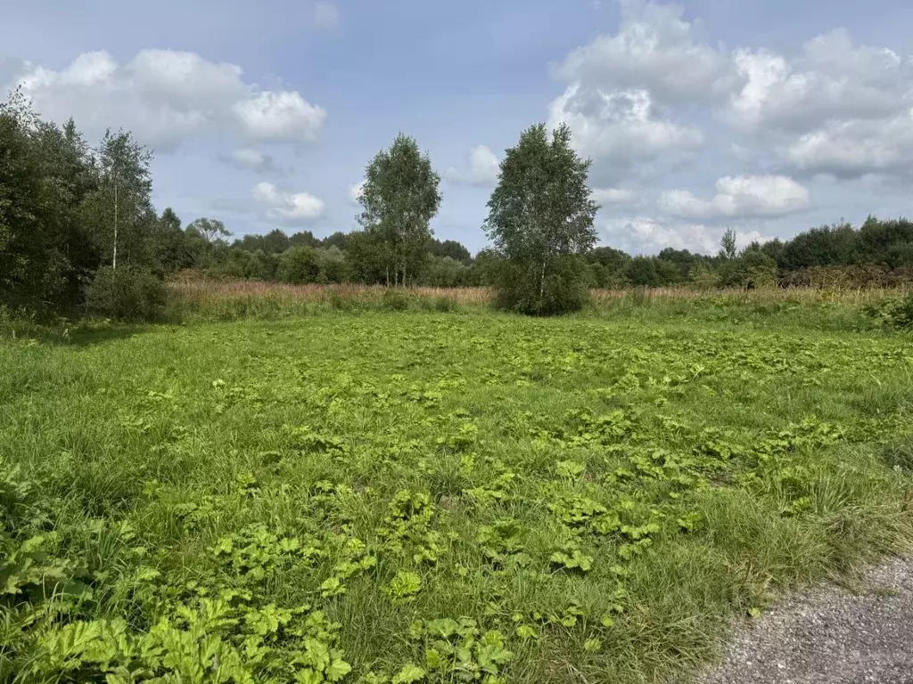 Участок в Тверская область, Конаковский муниципальный округ, д. ... - Фото 2