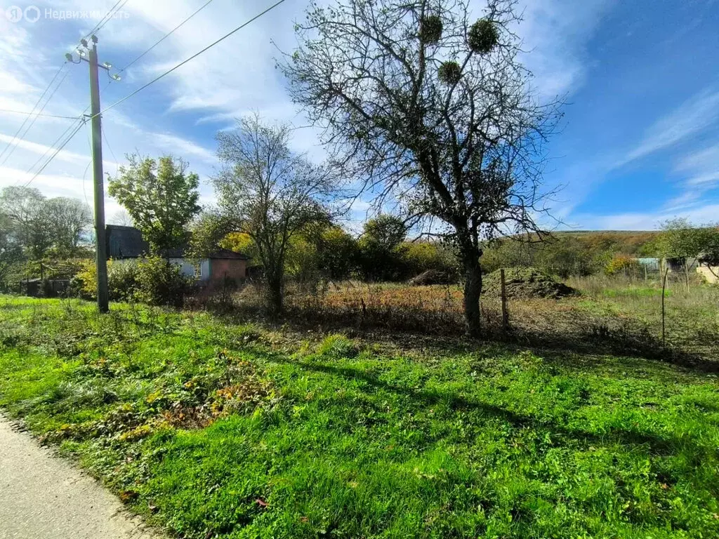 Участок в Новые Поляны, Школьная улица (6.26 м) - Фото 2