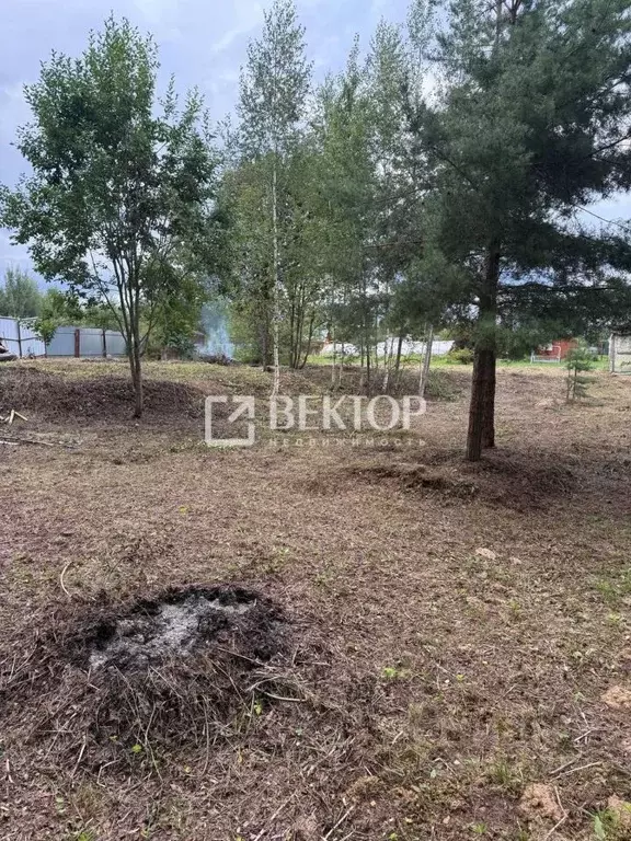 Участок в Костромская область, Кострома Струя-2 СНТ, 2 (11.0 сот.) - Фото 2