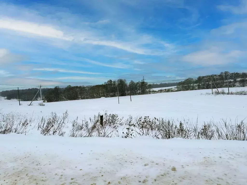Участок в Московская область, Домодедово городской округ, пос. ... - Фото 2