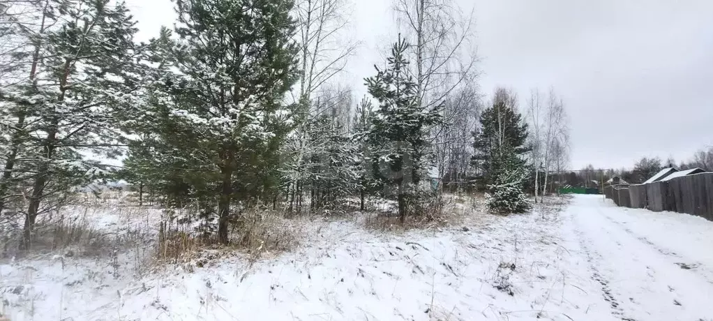 Участок в Владимирская область, Ковровский район, Малыгинское с/пос, ... - Фото 2