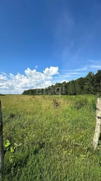 Участок в Томская область, Томский район, с. Батурино  (13.4 сот.) - Фото 1