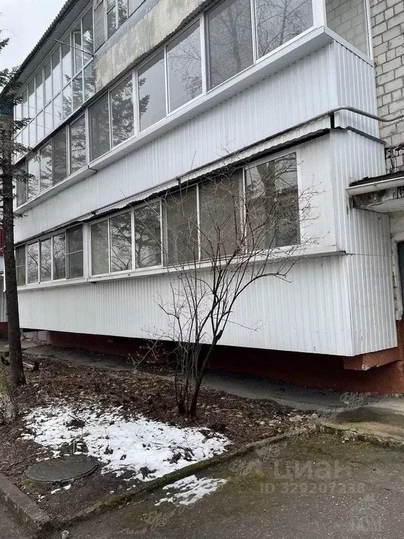 3-к кв. Еврейская автономная область, Биробиджан Пионерская ул., 17А ... - Фото 2