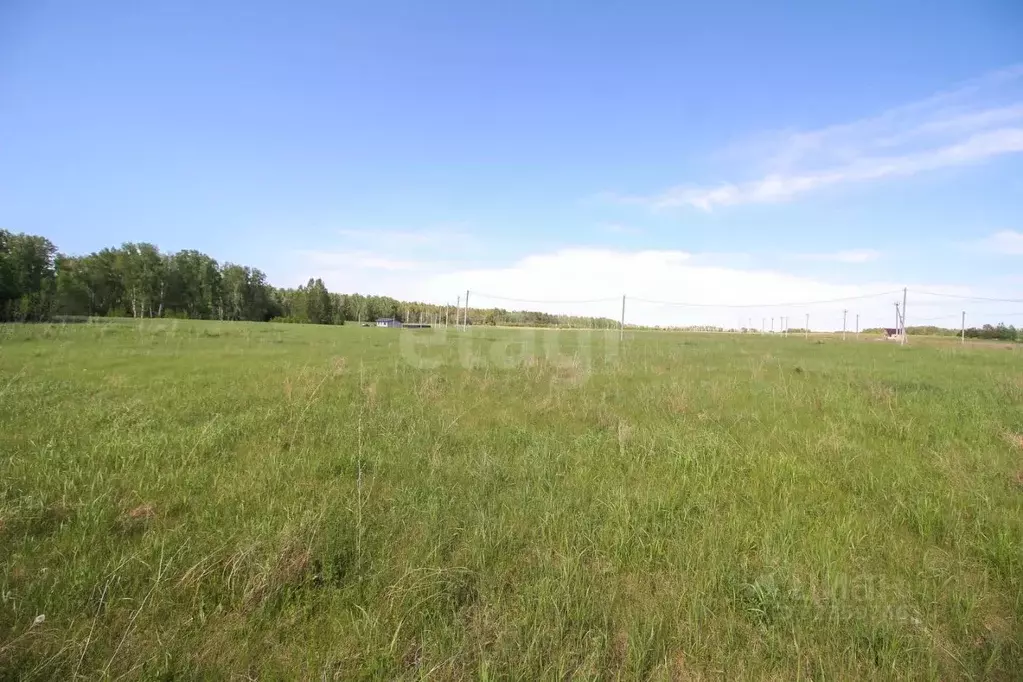 Участок в Алтайский край, Первомайский район, с. Фирсово, Полесье мкр  ... - Фото 1