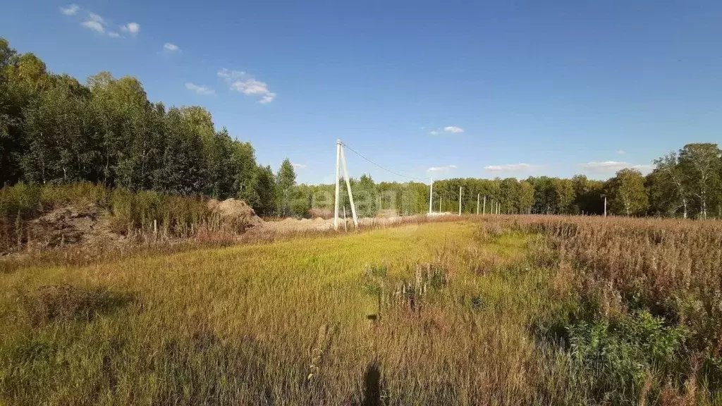 Участок в Тюменская область, Тюменский муниципальный округ, д. ... - Фото 1