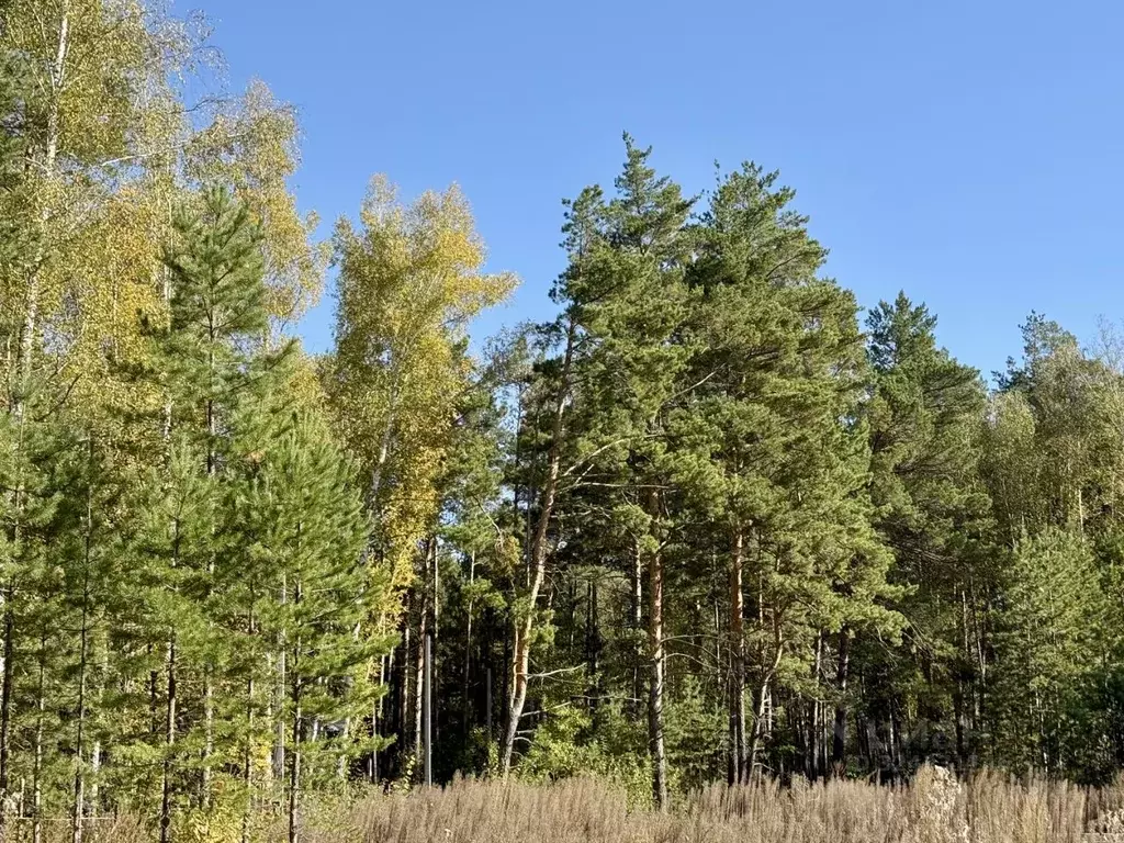 Участок в Алтайский край, Первомайский район, с. Бобровка Партизанская ... - Фото 1