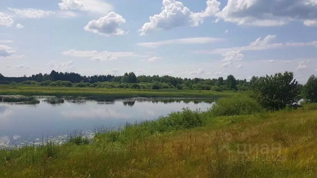 Участок в Ярославская область, Некрасовский муниципальный округ, с. ... - Фото 1