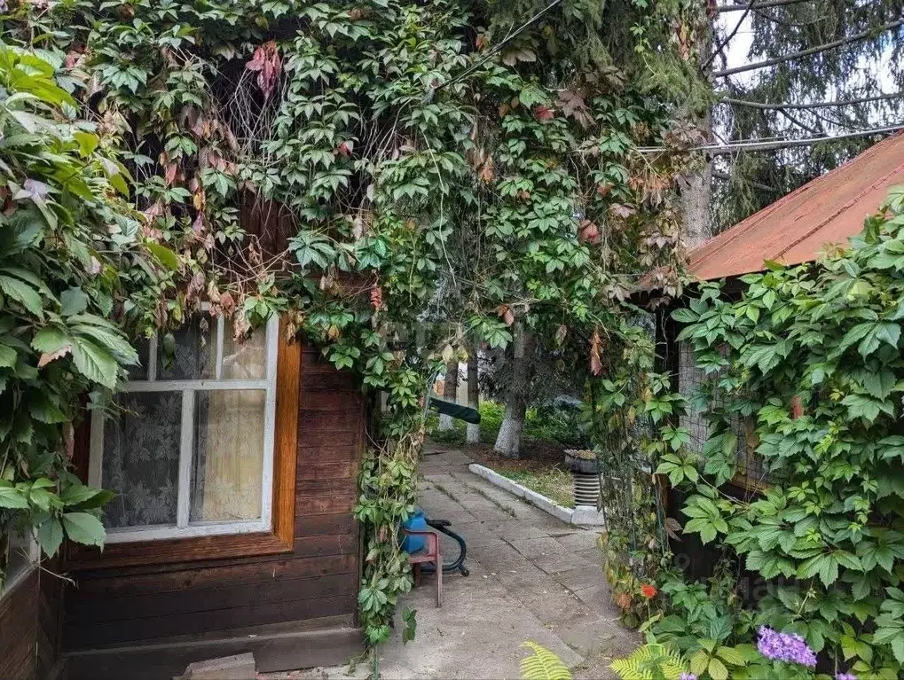 Дом в Свердловская область, Екатеринбург Березовая Роща-1 СНТ,  (50 м) - Фото 1