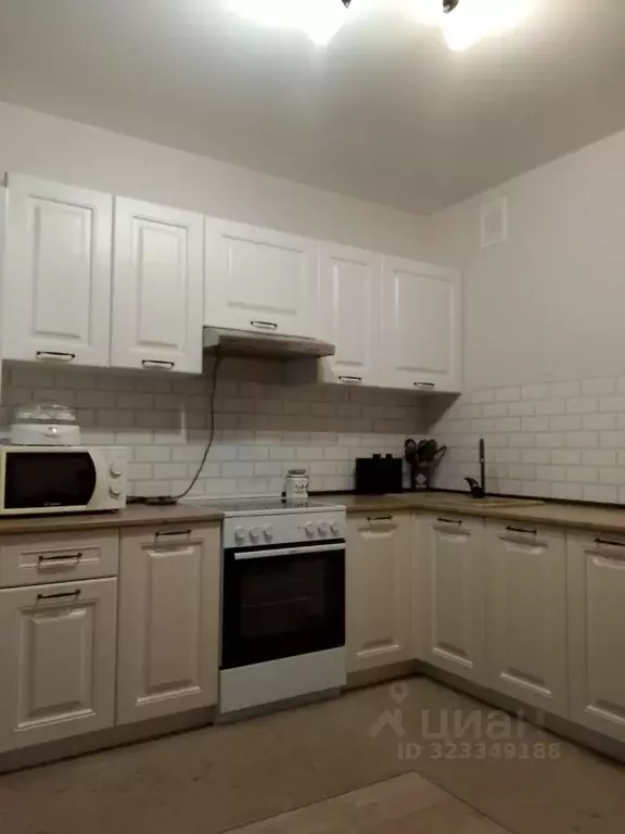 1-к кв. Воронежская область, Новоусманский район, пос. Отрадное ул. ... - Фото 1