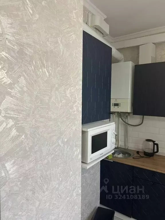 1-к кв. Московская область, Одинцовский городской округ, д. Солманово, ... - Фото 2