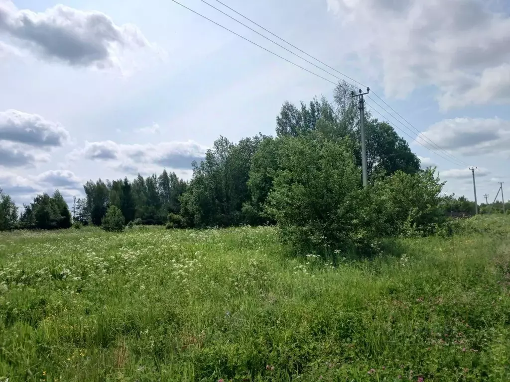 Участок в Московская область, Сергиево-Посадский городской округ, д. ... - Фото 0