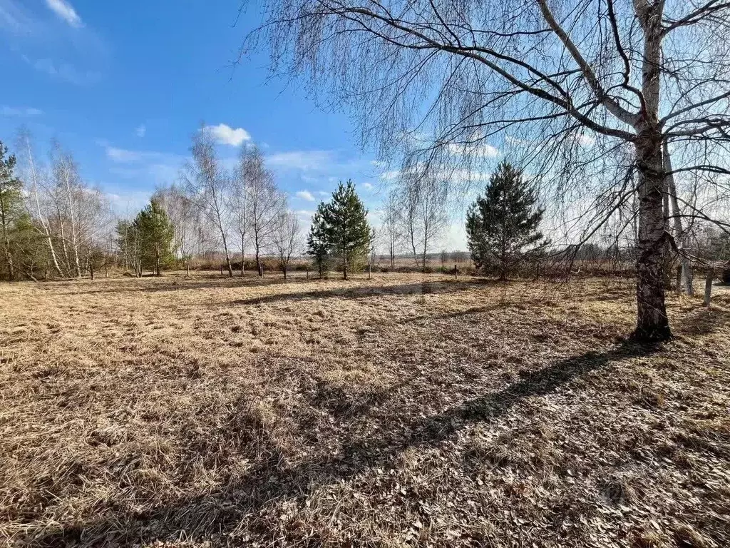 Участок в Московская область, Раменский муниципальный округ, Романь ... - Фото 0