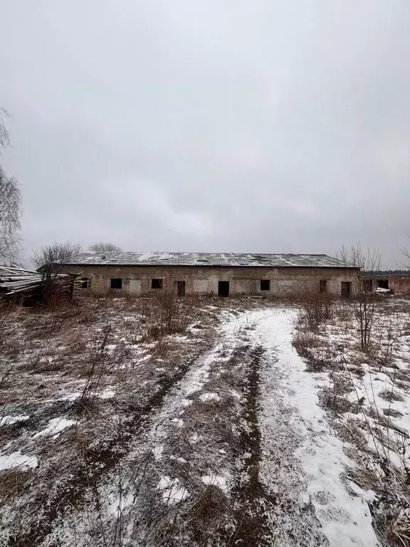 Участок в Архангельская область, Плесецк рп  (50.0 сот.) - Фото 0