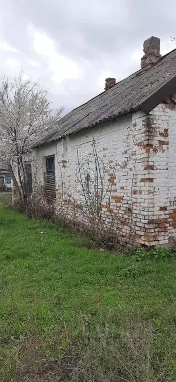 Помещение свободного назначения в Ставропольский край, Кочубеевский ... - Фото 0