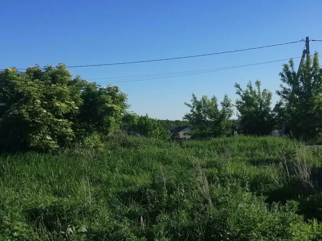 Участок в Воронежская область, Рамонский район, Березовское с/пос, с. ... - Фото 2