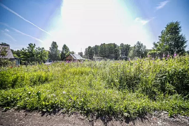 Участок 5,6 сот. (СНТ, ДНП) - Фото 0