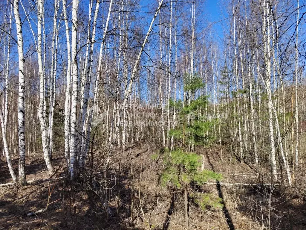 Купить Участок В Заборье Рязанской Области