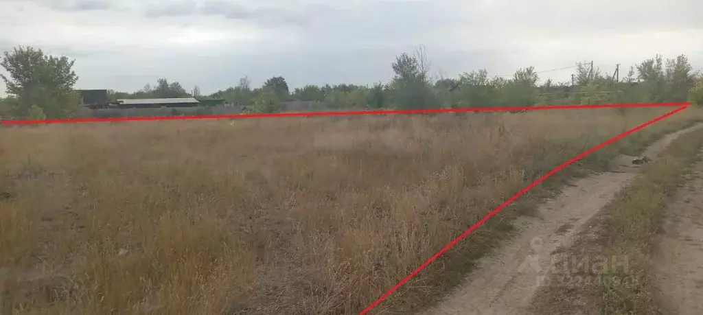 Участок в Саратовская область, Советский район, с. Золотая Степь 1В ... - Фото 1