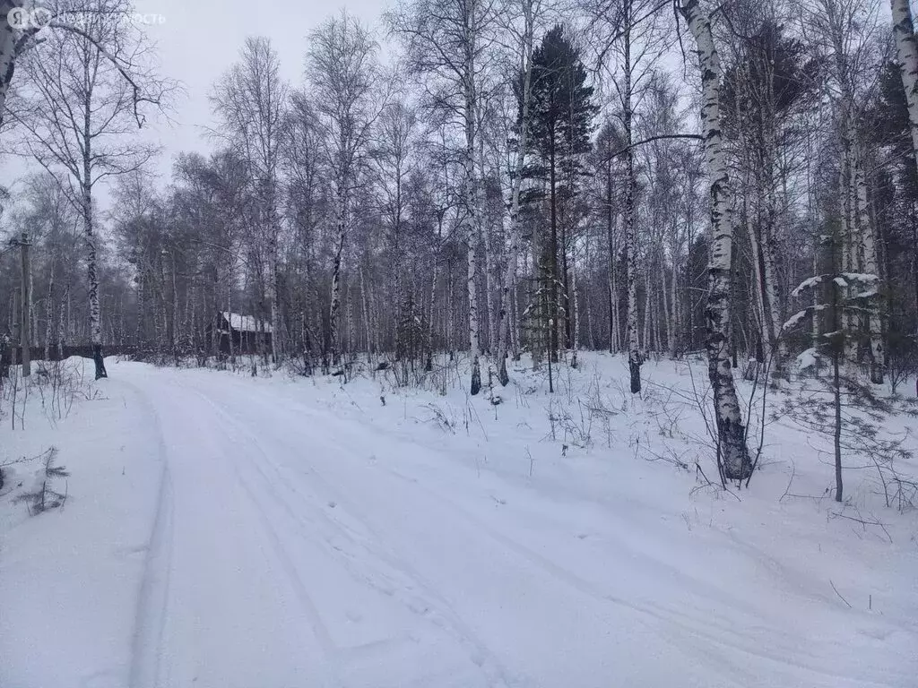 Участок в Иркутский муниципальный округ, посёлок Берёзка, Лесная улица ... - Фото 1