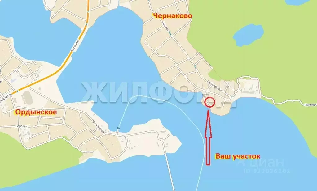 Участок в Новосибирская область, Ордынский район, пос. Чернаково ... - Фото 1