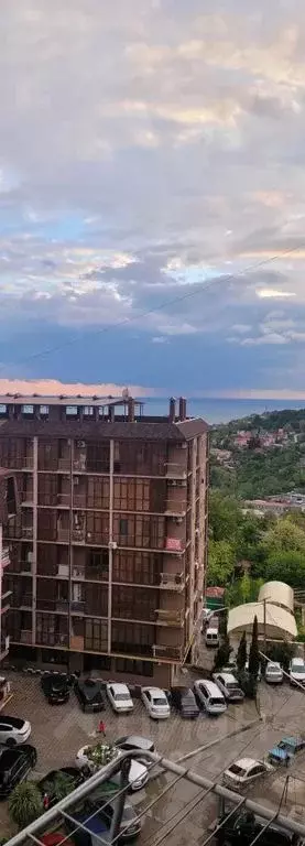 Студия Краснодарский край, Сочи ул. Тимирязева, 52/2 (25.0 м) - Фото 0