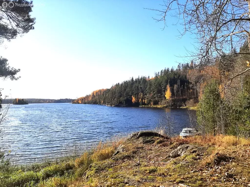 Участок в посёлок Куркиёки, Советская улица (43 м) - Фото 1