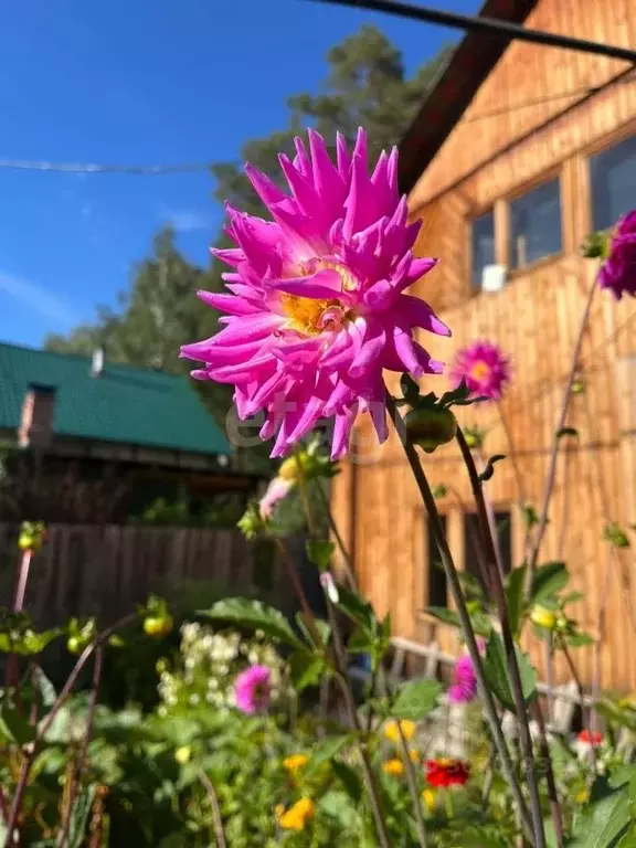 Дом в Свердловская область, Сысертский городской округ, Солнечный-2 КС ... - Фото 1