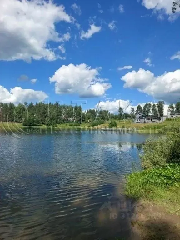 Участок в Ленинградская область, Всеволожский район, Куйвозовское ... - Фото 1