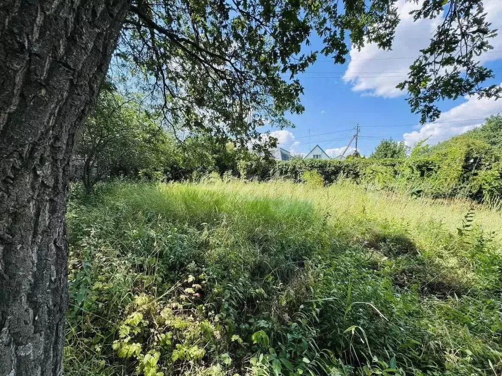 Участок в Саратовская область, Прогресс СНТ ул. Заречная (5.0 сот.) - Фото 1