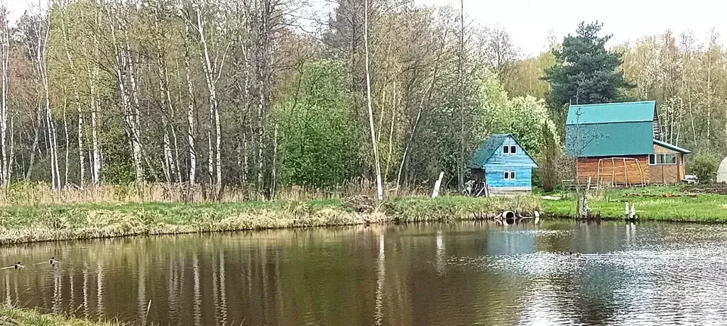 Участок в Владимирская область, Владимир Колос садовое товарищество, ... - Фото 0