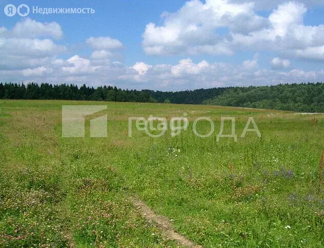 Участок в Новосибирский район, Раздольненский сельсовет, село Гусиный ... - Фото 0