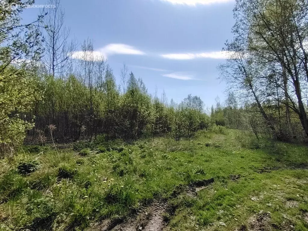 Участок в Ленинградская область, Волхов (10.15 м) - Фото 0