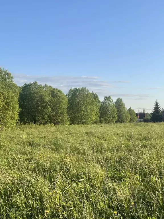 Участок в Ленинградская область, Ломоносовский район, Лопухинское ... - Фото 1