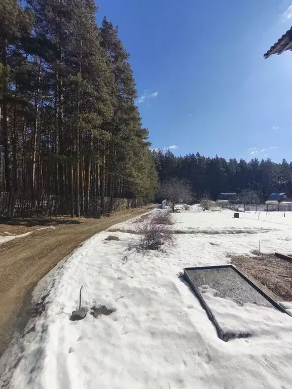 Участок в Свердловская область, Сысертский муниципальный округ, ... - Фото 1