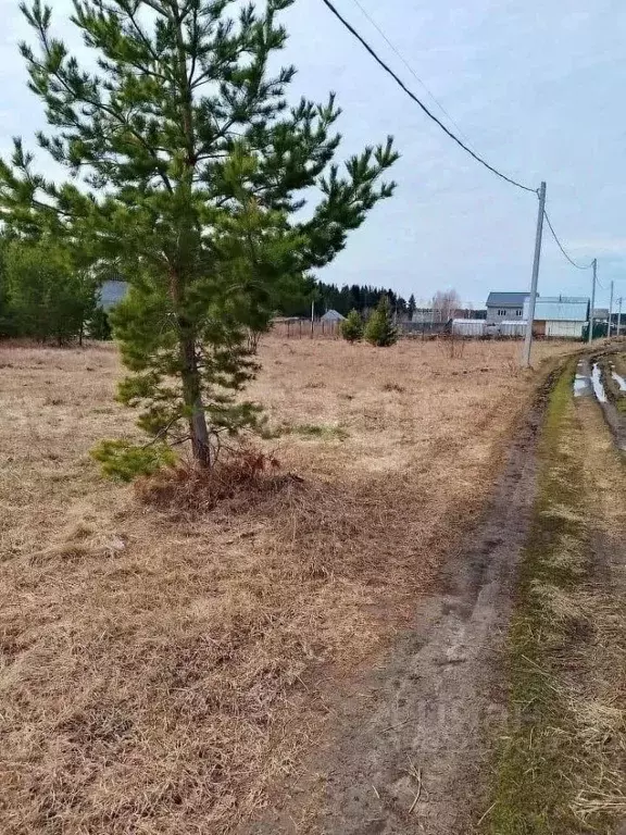 Участок в Свердловская область, Тугулым пгт пл. 50-летия Октября (20.0 ... - Фото 1